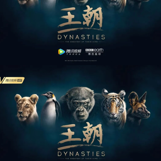 这8部BBC纪录片，每一部都在追问一个你不敢细想的问题