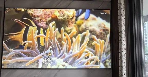 看字幕先看飘：被三色激光