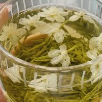 茉莉花茶怎么选？一文看懂四大流派，新手入门不踩坑!