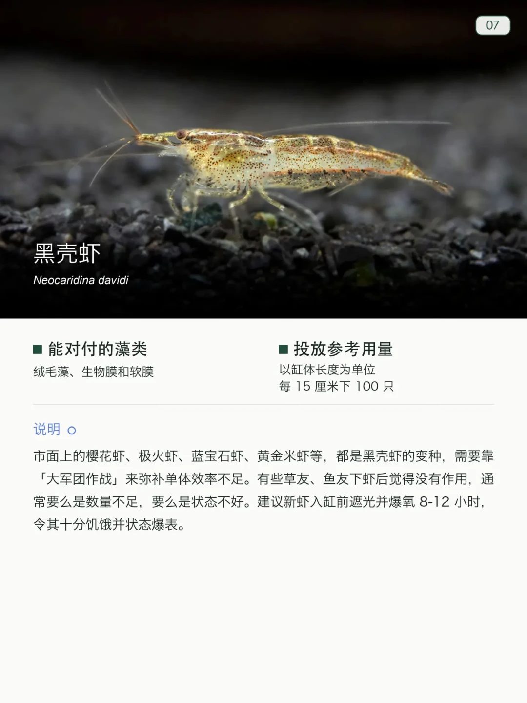 爆缸之后别乱请“清洁工”：我把全网翻车帖和通缉帖对着13种×11藻对照表翻了一遍——工具生物按藻买，别按名字买