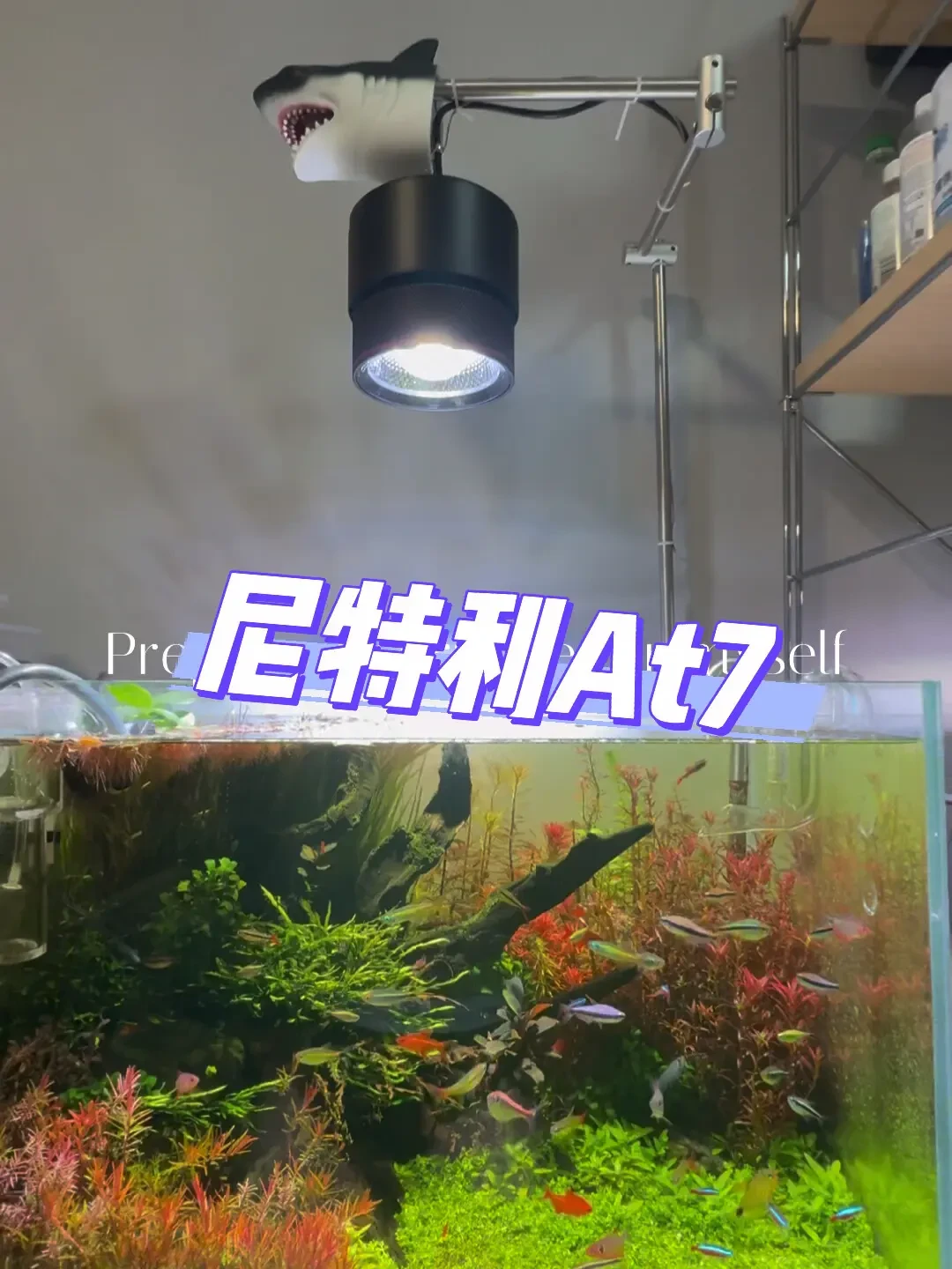 尼特利7系筒灯买前账:光谱没得黑,WiFi卡死、色差、退货机这些坑怎么绕