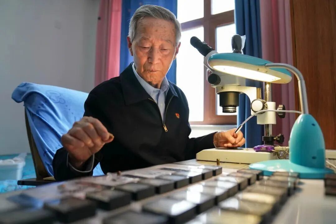张译李晨邢佳栋重聚《神探之痕迹》:国庆档这张士兵突击的怀旧票,到底值不值