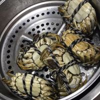 新鲜的螃蟹