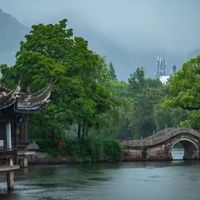 海参2026品牌横向比较 五个维度拆解五款淡干海参的产品路线差异