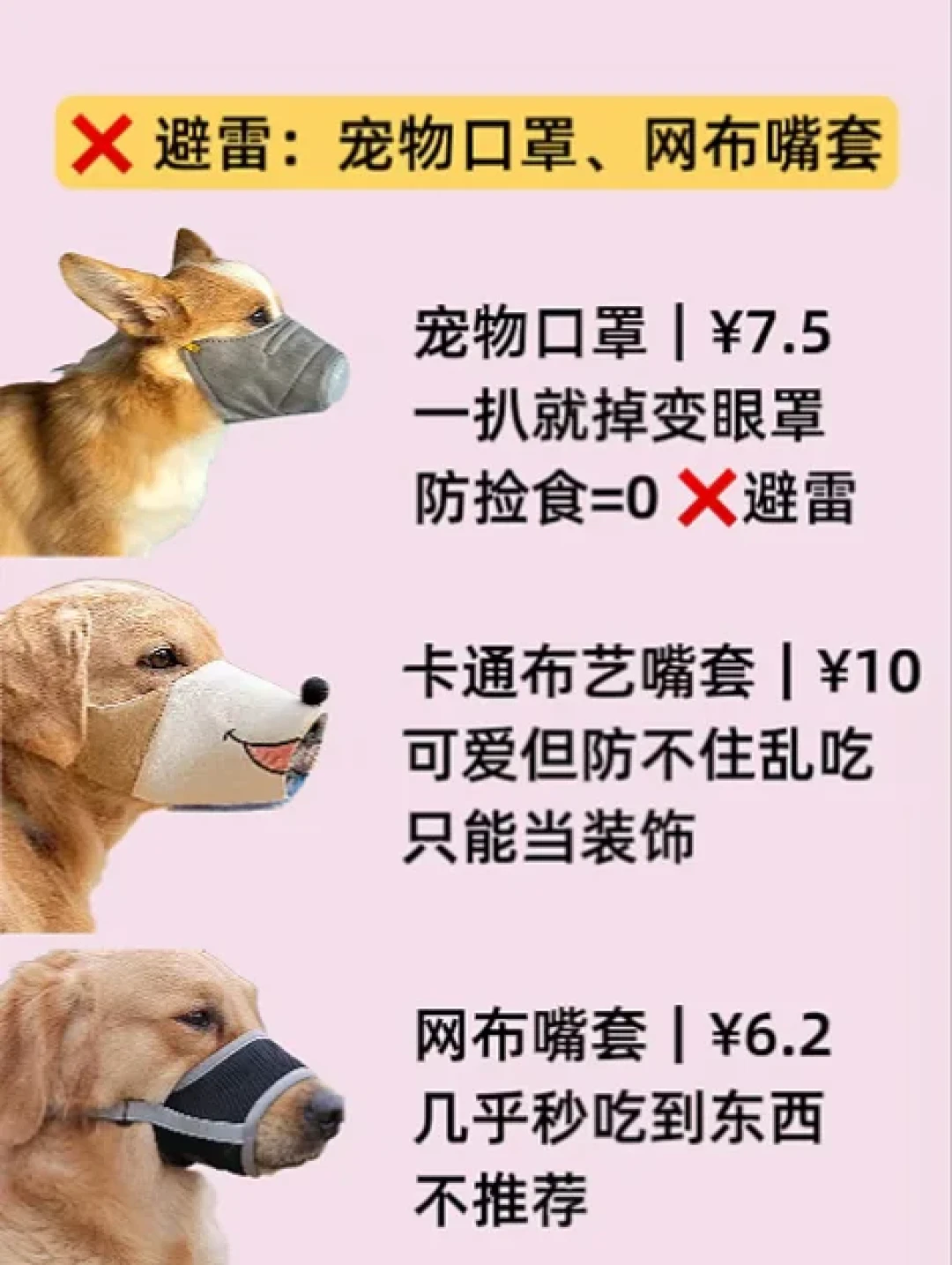 遛狗最危险的100米:翻完9月这轮投毒帖和Papi案判决,路线、嘴套、急救顺序这次得搞对