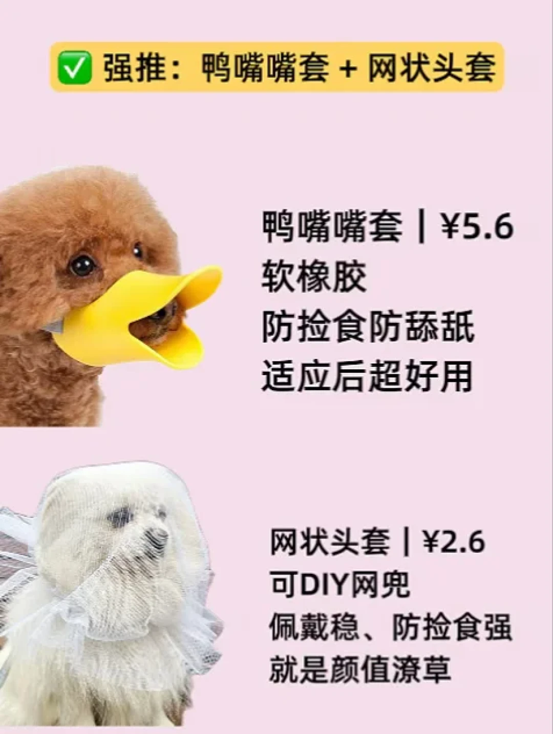 遛狗最危险的100米:翻完9月这轮投毒帖和Papi案判决,路线、嘴套、急救顺序这次得搞对