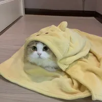 10月1日电热毯新规落地：猫狗保暖这钱，翻完火灾案和低温烫伤帖后，按这个顺序花