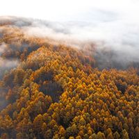 国庆进山只剩2天：全网近百篇户外潮搭笔记指向同一个真相——钱要花在中间层，不是外壳