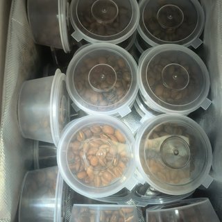 囤下来的咖啡豆喝不完：常温派和冷冻派吵了三年，其实是两拨人在错位对话