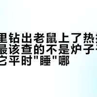 卡式炉里钻出老鼠上了热搜：岩谷炉主最该查的不是炉子干不干净，是它平时"睡"哪