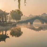 海参买什么样的好？2026年买参前必看的六个判断维度