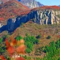 8个月宝宝吃啥牌子益生菌好 实测5款避坑指南 2026最新