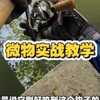 秋钓技巧与真实作钓 | 钓鱼9.30日报