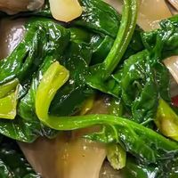如何制作家常菠菜炒平菇