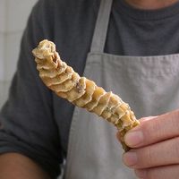 竹节参地参干货 煲汤泡酒材料挑选思路