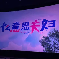 上映前夜，点映口碑吵成两半：《什么意思夫妇》明天的票钱，到底该不该花
