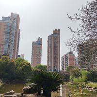 《爱情公寓》“9月下旬开机”到点未开机：36天跨平台账本对完，剧停在网传、团综只差官宣
