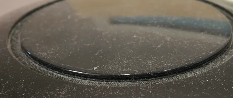 家里这种纤维灰尘哪来的？
