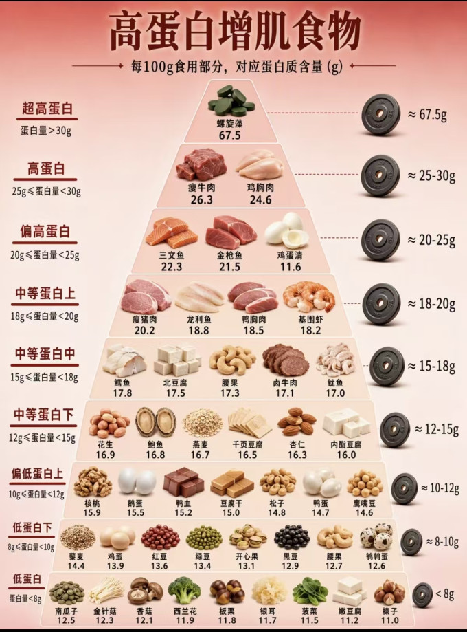 其他营养