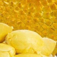 榴莲的极端特质与情感隐喻