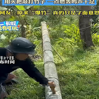原来，爆竹是这么来的！