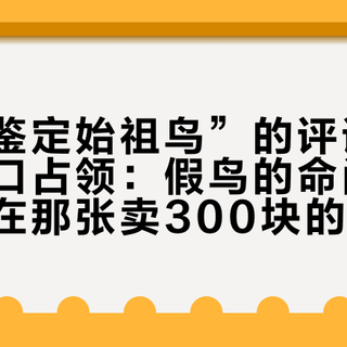 “免费鉴定始祖鸟”的评论区被台州档口占领：假鸟的命门不在衣服，在那张卖300块的吊牌