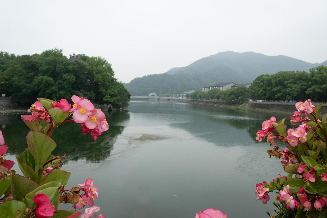 400元套机、2000元全画幅、295万浏览的