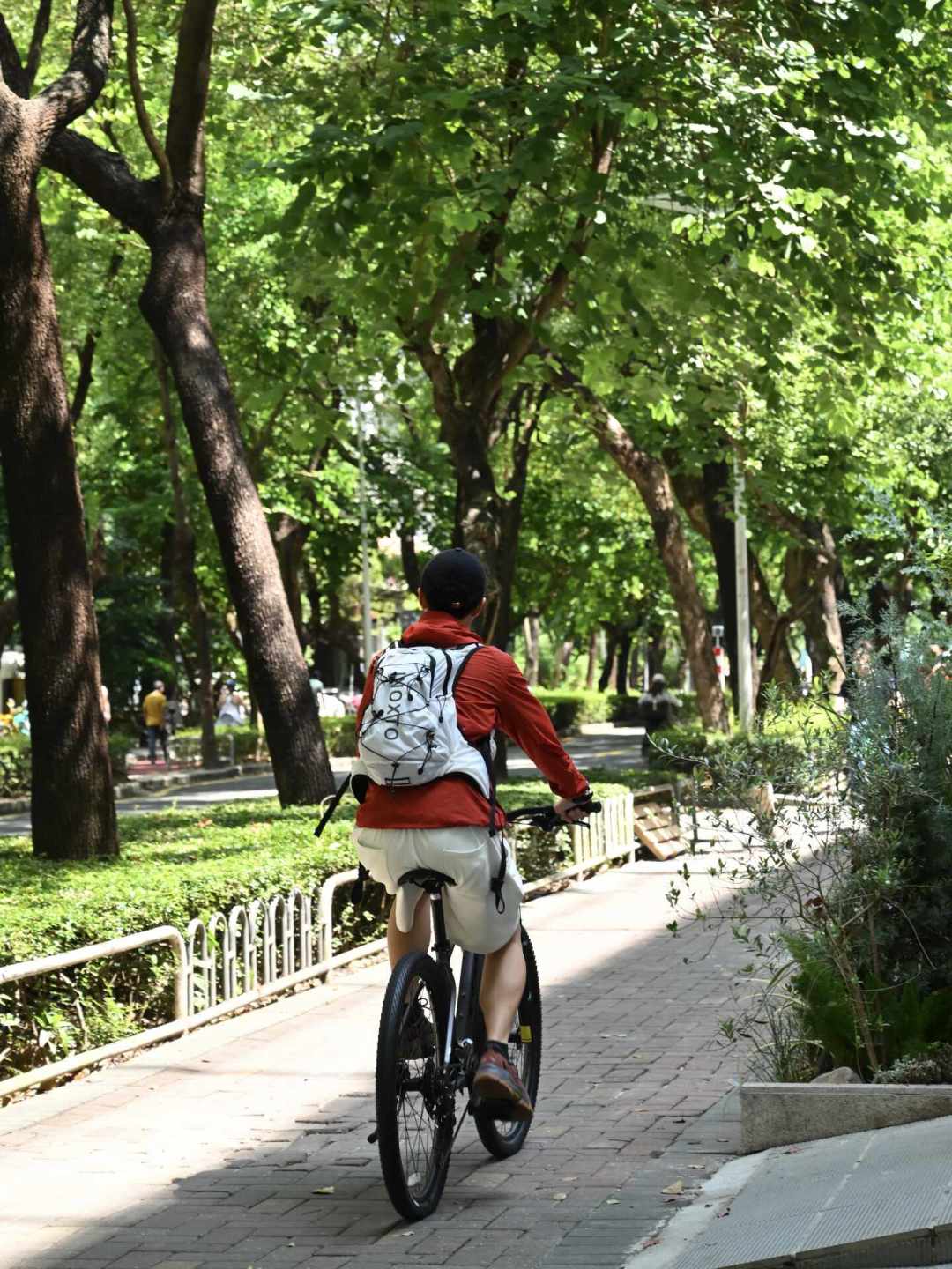 公路车
