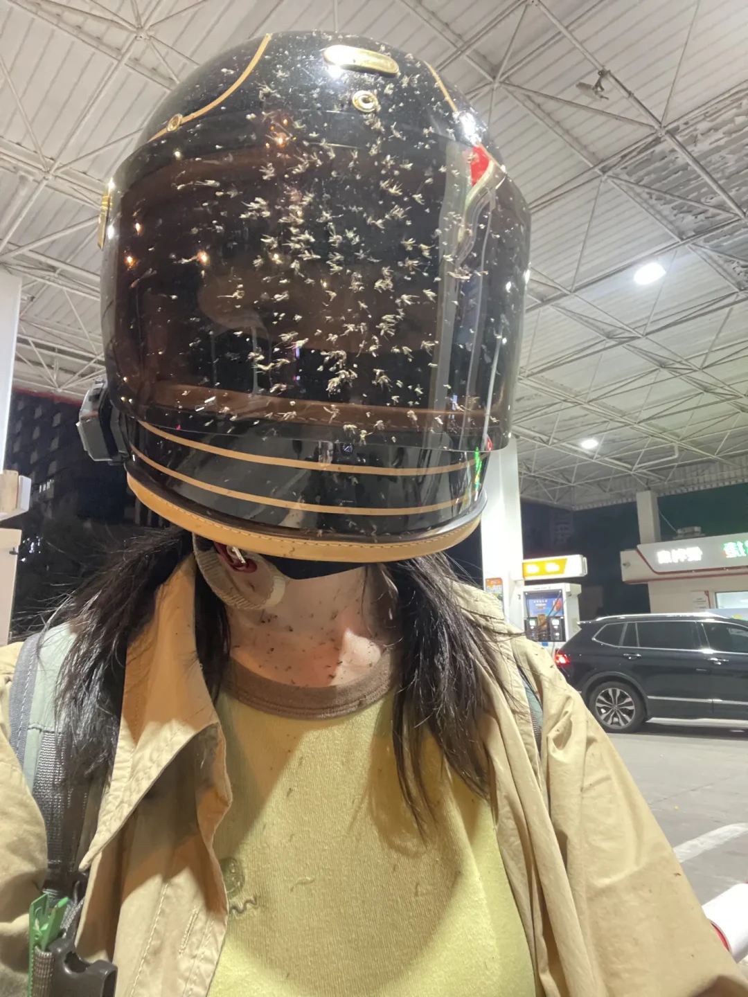 国庆摩旅被虫子