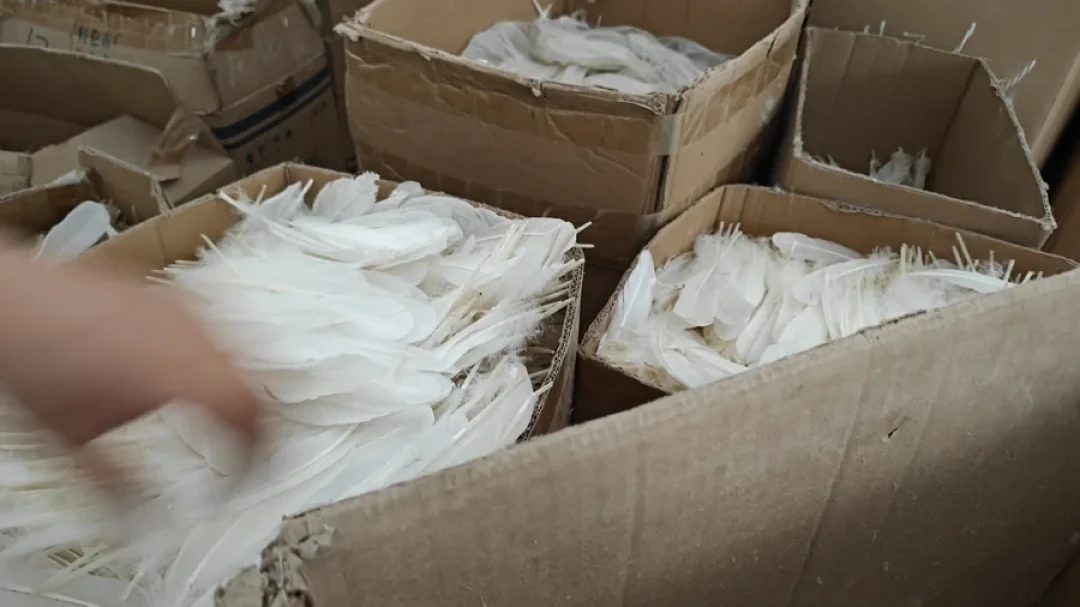 亚2入秋打一下折一根,112一桶的鹅毛反超亚4:秋天第一轮换桶,先对完这三本账