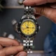 限量1959枚、国内货架查无此龟：十一想收这只