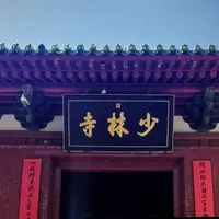 十一进少林，先想清楚"请不请讲解"：正规讲解100元起、AI讲解60元，停车场那位150元的"导游"把全团带进了上千元的漏斗