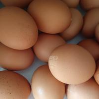 可生食、不腥、有蛋香是三件事：这个国庆，"黄天鹅腥"的帖子大多搞混了