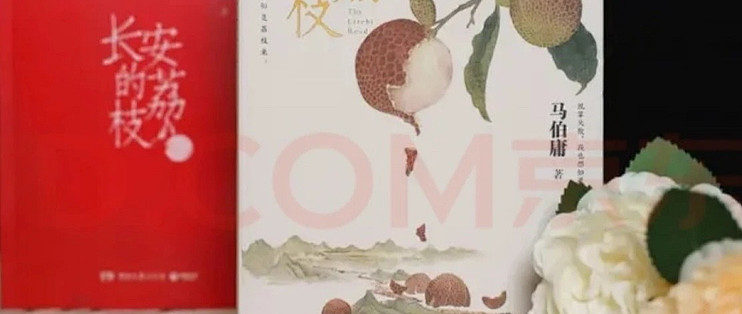 《长安的荔枝》双节阅读指南