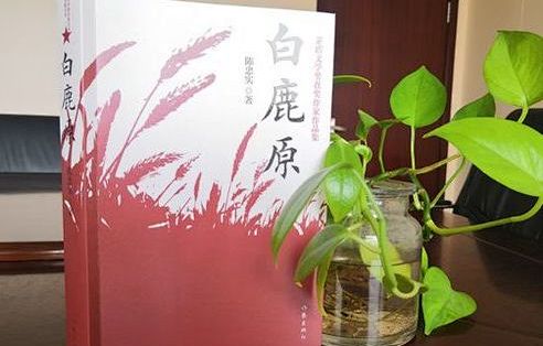 读《白鹿原》有感
