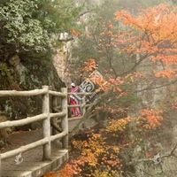 洛阳老君山秋季游览指南