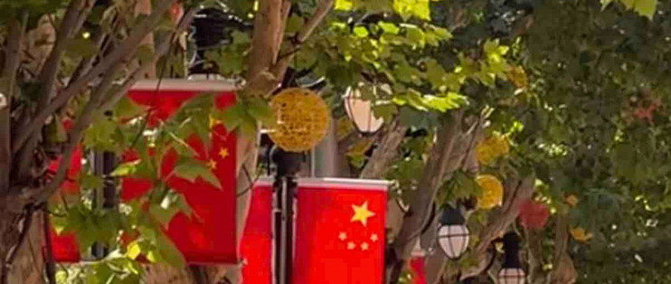 从《浪浪人生》看动画电影的情感表达