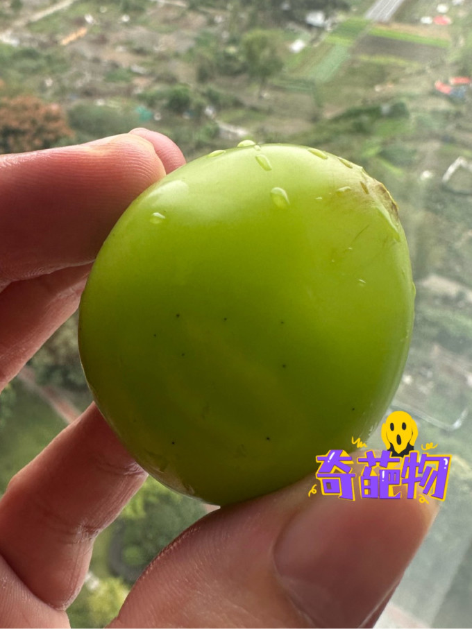 新鲜水果