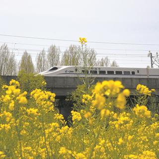 5起"无人机撞火车"案子里4起是打药的，飞手都觉得自己无关——国庆你想拍的"列车穿画面"，恰恰是拍客被抓的那种