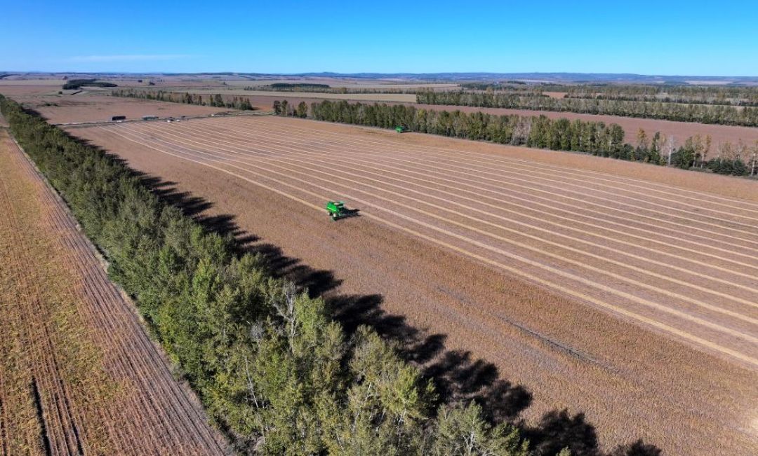 5起