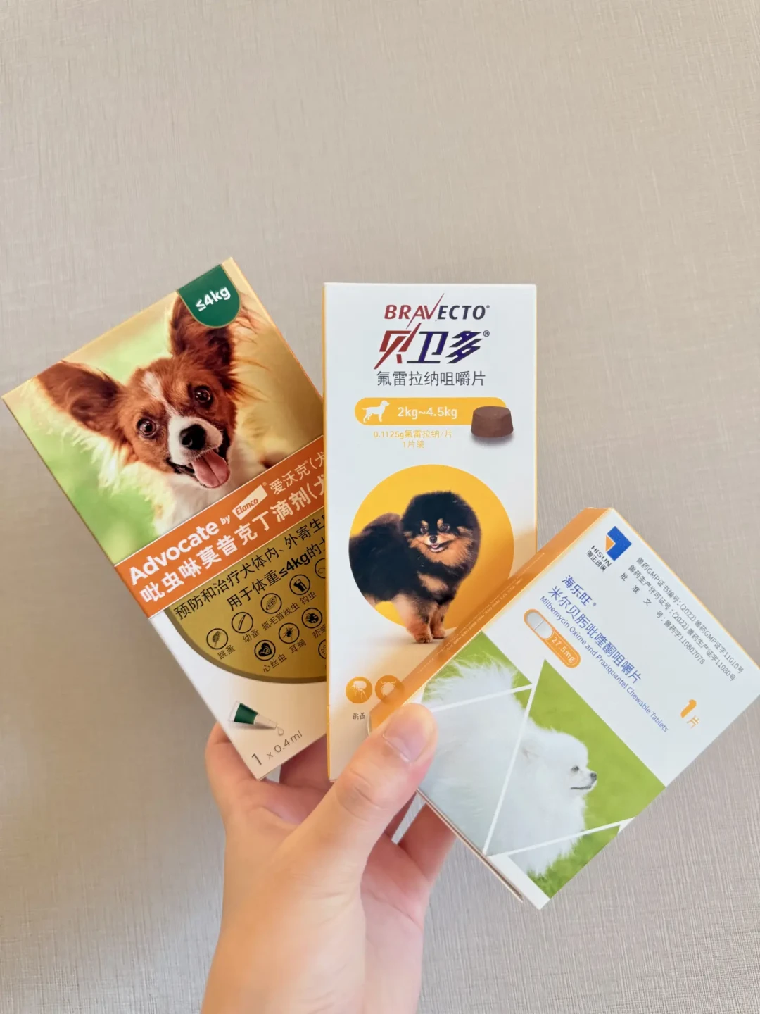 国庆遛完狗才反应过来:你搜的
