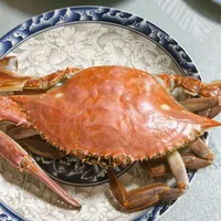 梭子蟹"腰斩"上热搜：大集25元、开海前百八十、现在四五十——此刻最肥的却不是最大那只，出门前先对完三本价和这只"反钟"