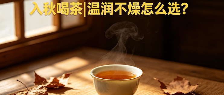 入秋喝茶指南｜顺应时节，温润不燥