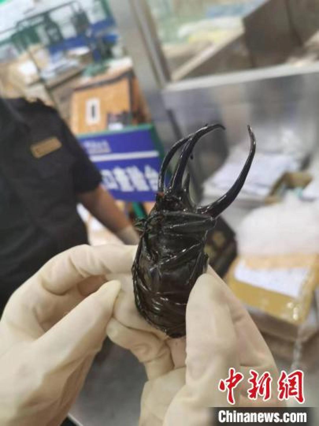 赞破百、收藏归零：40篇