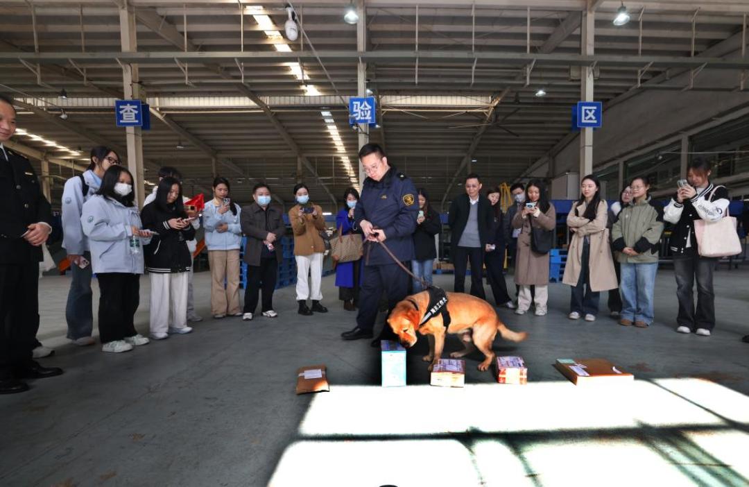 赞破百、收藏归零：40篇