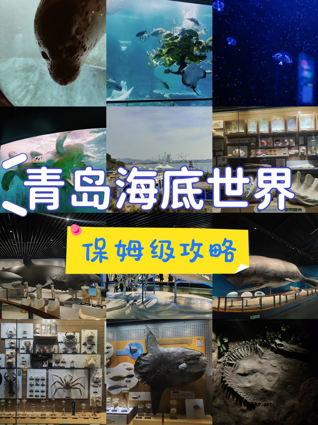 青岛海底世界🐬保姆级游玩攻略！不踩雷