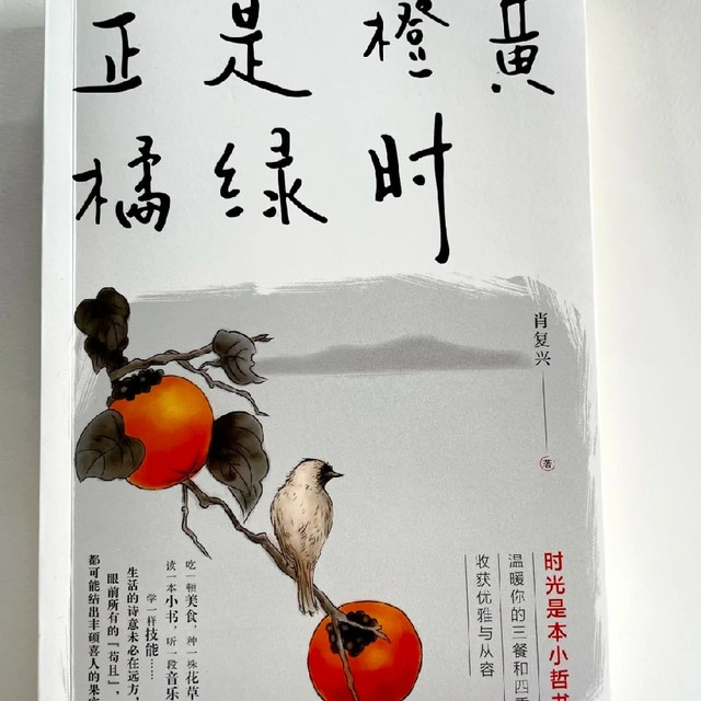 入秋后睡前必翻的治愈散文：把平凡日子过出 “橙黄橘绿” 的滋味