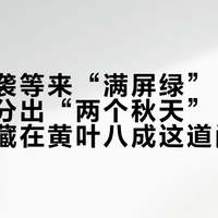 千里奔袭等来“满屏绿”：额济纳胡杨分出“两个秋天”，真金色窗口藏在黄叶八成这道门槛后