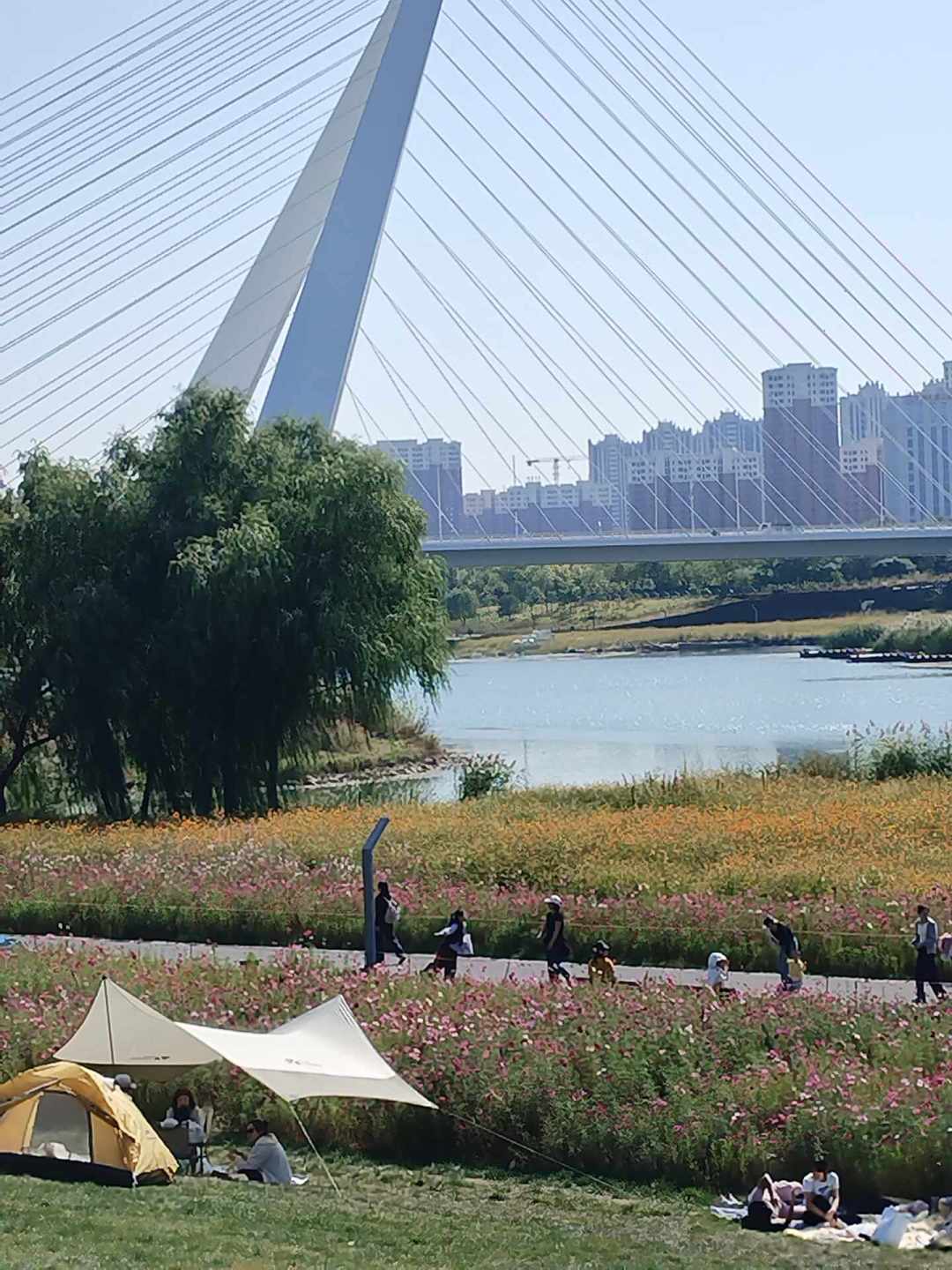 帐篷是放行的那个,风绳可能不是:国庆公园搭帐篷,先看清5层“红线”