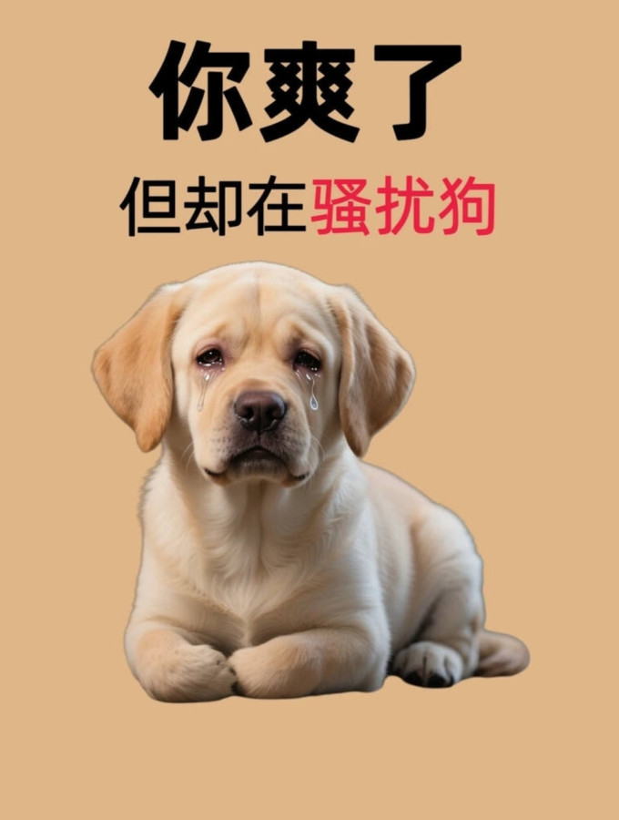 狗狗